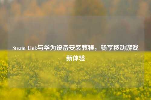 Steam Link与华为设备安装教程,畅享移动游戏新体验