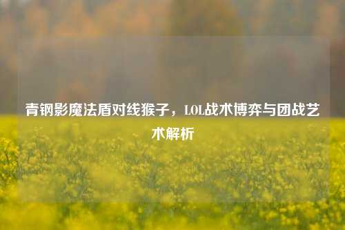 青钢影魔法盾对线猴子，LOL战术博弈与团战艺术解析