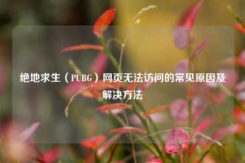 绝地求生（PUBG）网页无法访问的常见原因及解决方法