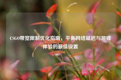 CSGO带宽限制优化指南,平衡网络延迟与游戏体验的最佳设置