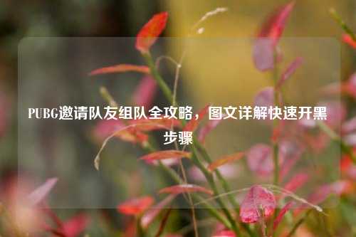 PUBG邀请队友组队全攻略，图文详解快速开黑步骤