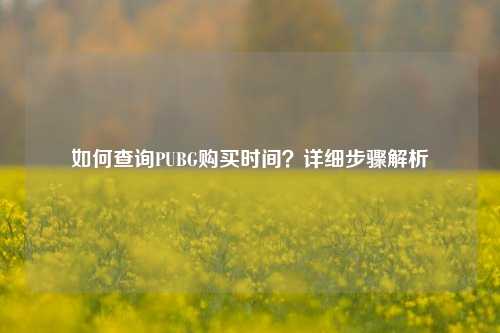 如何查询PUBG购买时间？详细步骤解析