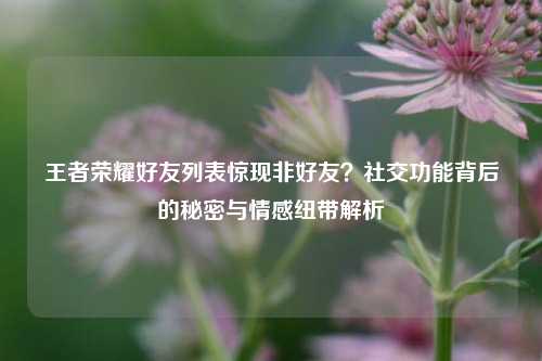 王者荣耀好友列表惊现非好友？社交功能背后的秘密与情感纽带解析