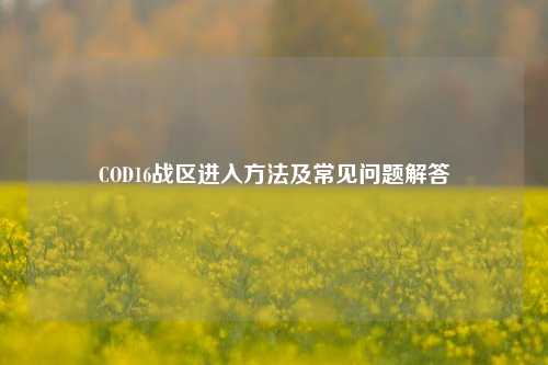 COD16战区进入方法及常见问题解答
