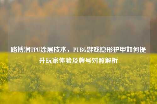 路博润TPU涂层技术，PUBG游戏隐形护甲如何提升玩家体验及牌号对照解析