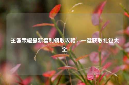 王者荣耀最新福利领取攻略，一键获取礼包大全