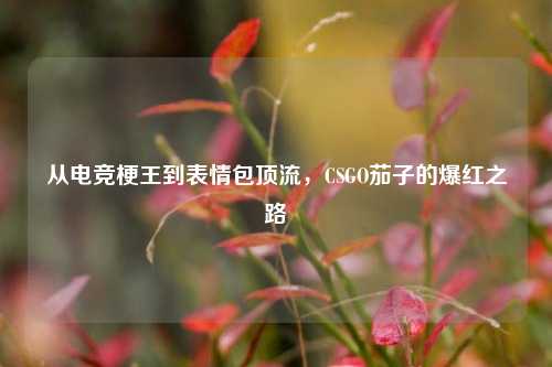 从电竞梗王到表情包顶流,CSGO茄子的爆红之路