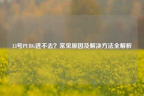 13号PUBG进不去？常见原因及解决方法全解析