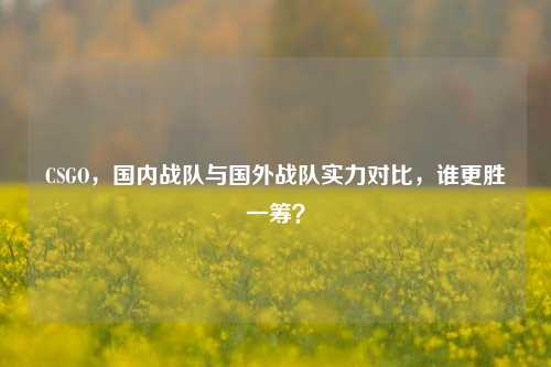 CSGO，国内战队与国外战队实力对比，谁更胜一筹？