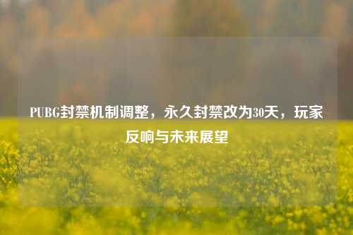 PUBG封禁机制调整，永久封禁改为30天，玩家反响与未来展望