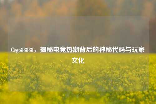 Csgo88888，揭秘电竞热潮背后的神秘代码与玩家文化