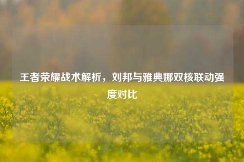 王者荣耀战术解析,刘邦与雅典娜双核联动强度对比