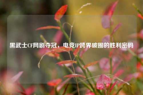黑武士CF网剧夺冠,电竞IP跨界破圈的胜利密码