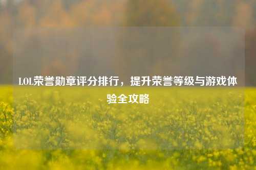 LOL荣誉勋章评分排行，提升荣誉等级与游戏体验全攻略