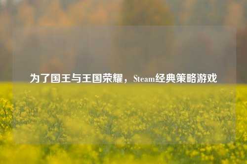 为了国王与王国荣耀,Steam经典策略游戏
