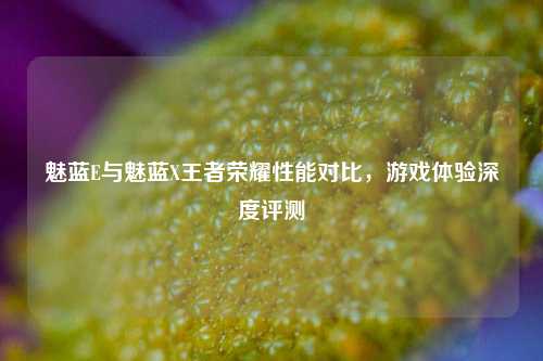 魅蓝E与魅蓝X王者荣耀性能对比，游戏体验深度评测