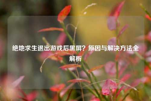 绝地求生退出游戏后黑屏？原因与解决方法全解析