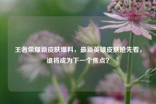 王者荣耀新皮肤爆料，最新英雄皮肤抢先看，谁将成为下一个焦点？