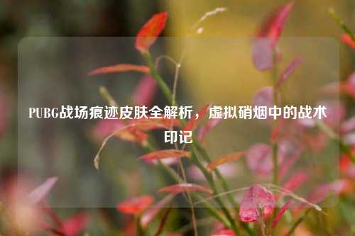 PUBG战场痕迹皮肤全解析，虚拟硝烟中的战术印记