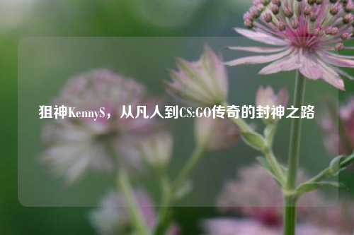 狙神KennyS，从凡人到CS:GO传奇的封神之路