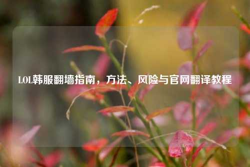 LOL韩服翻墙指南,方法、风险与官网翻译教程