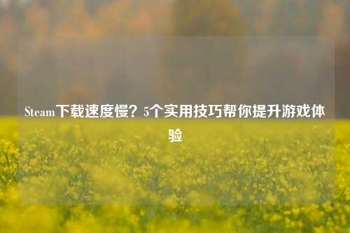 Steam下载速度慢？5个实用技巧帮你提升游戏体验