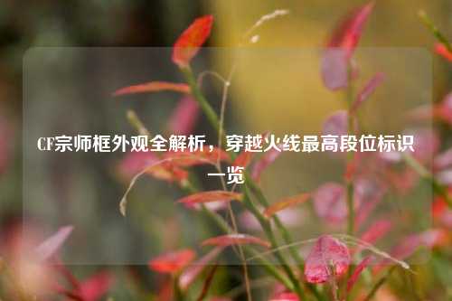 CF宗师框外观全解析,穿越火线最高段位标识一览