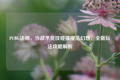 PUBG法师,当战术竞技碰撞魔法幻想,全新玩法攻略解析
