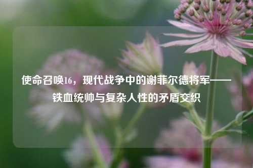 使命召唤16,现代战争中的谢菲尔德将军——铁血统帅与复杂人性的矛盾交织