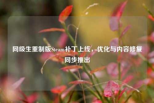 同级生重制版Steam补丁上线,优化与内容修复同步推出