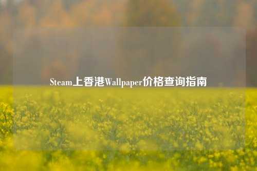 Steam上香港Wallpaper价格查询指南