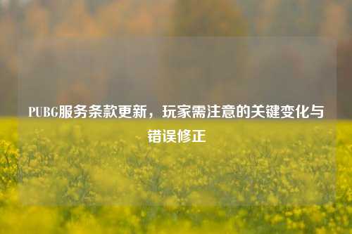 PUBG服务条款更新,玩家需注意的关键变化与错误修正