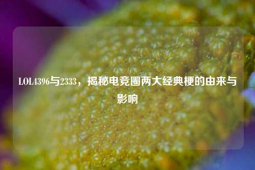 LOL4396与2333，揭秘电竞圈两大经典梗的由来与影响