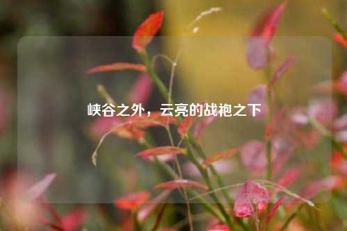 峡谷之外,云亮的战袍之下