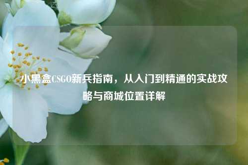 小黑盒CSGO新兵指南,从入门到精通的实战攻略与商城位置详解
