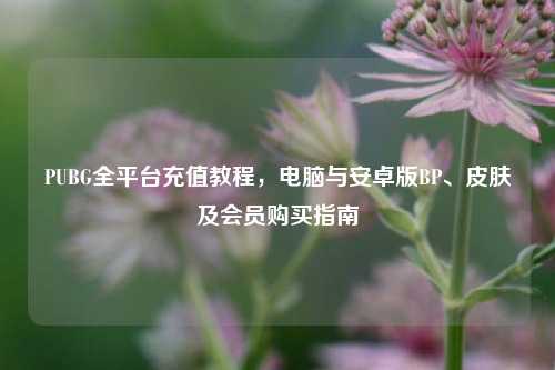 PUBG全平台充值教程，电脑与安卓版BP、皮肤及会员购买指南