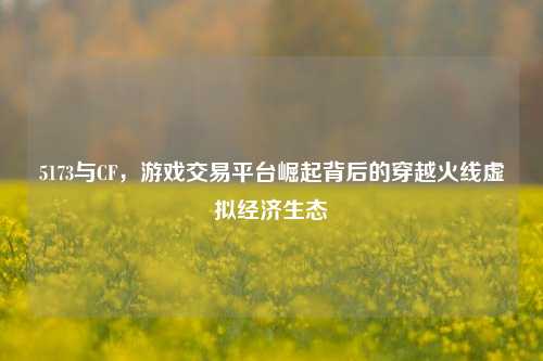 5173与CF,游戏交易平台崛起背后的穿越火线虚拟经济生态