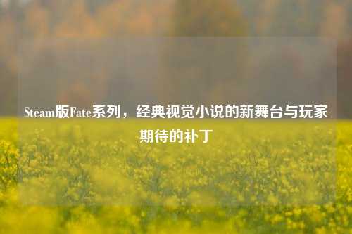 Steam版Fate系列，经典视觉小说的新舞台与玩家期待的补丁