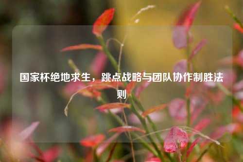 国家杯绝地求生，跳点战略与团队协作制胜法则