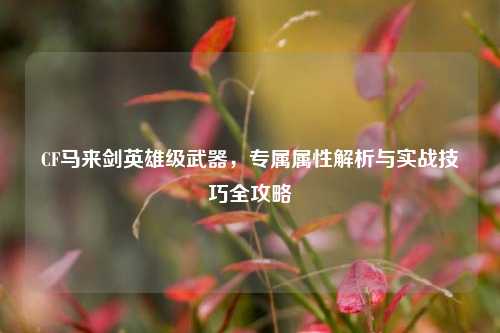 CF马来剑英雄级武器,专属属性解析与实战技巧全攻略