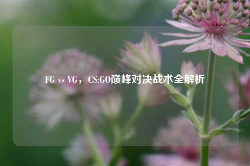 FG vs VG，CS:GO巅峰对决战术全解析