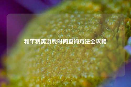 和平精英游戏时间查询方法全攻略