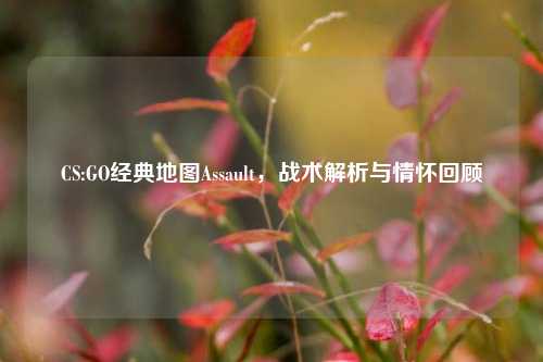 CS:GO经典地图Assault，战术解析与情怀回顾