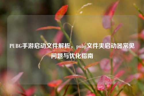 PUBG手游启动文件解析，pubg文件夹启动器常见问题与优化指南