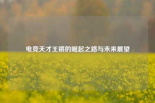电竞天才王锵的崛起之路与未来展望