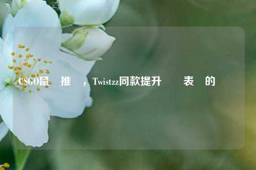 CSGO鼠墊推薦,Twistzz同款提升遊戲表現的關鍵裝備