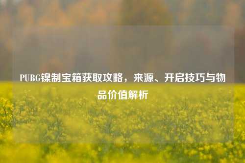 PUBG镍制宝箱获取攻略，来源、开启技巧与物品价值解析