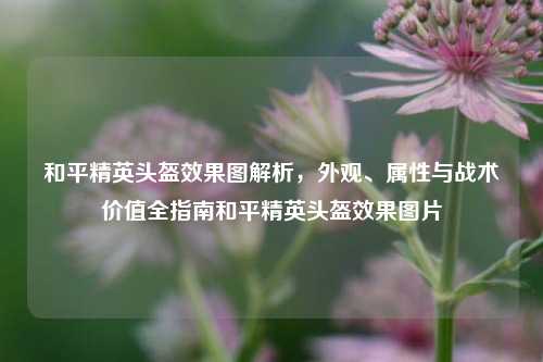 和平精英头盔效果图解析，外观、属性与战术价值全指南和平精英头盔效果图片