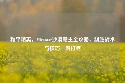 和平精英，Miramar沙漠霸主全攻略，制胜战术与技巧一网打尽