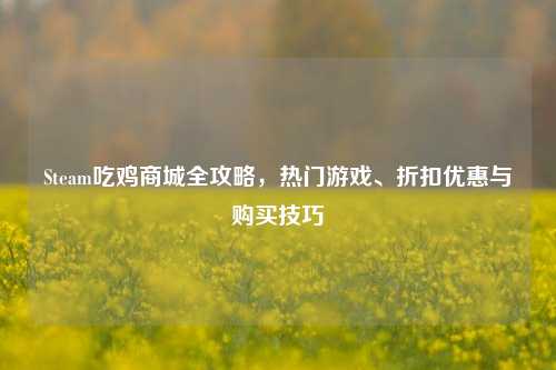 Steam吃鸡商城全攻略,热门游戏、折扣优惠与购买技巧